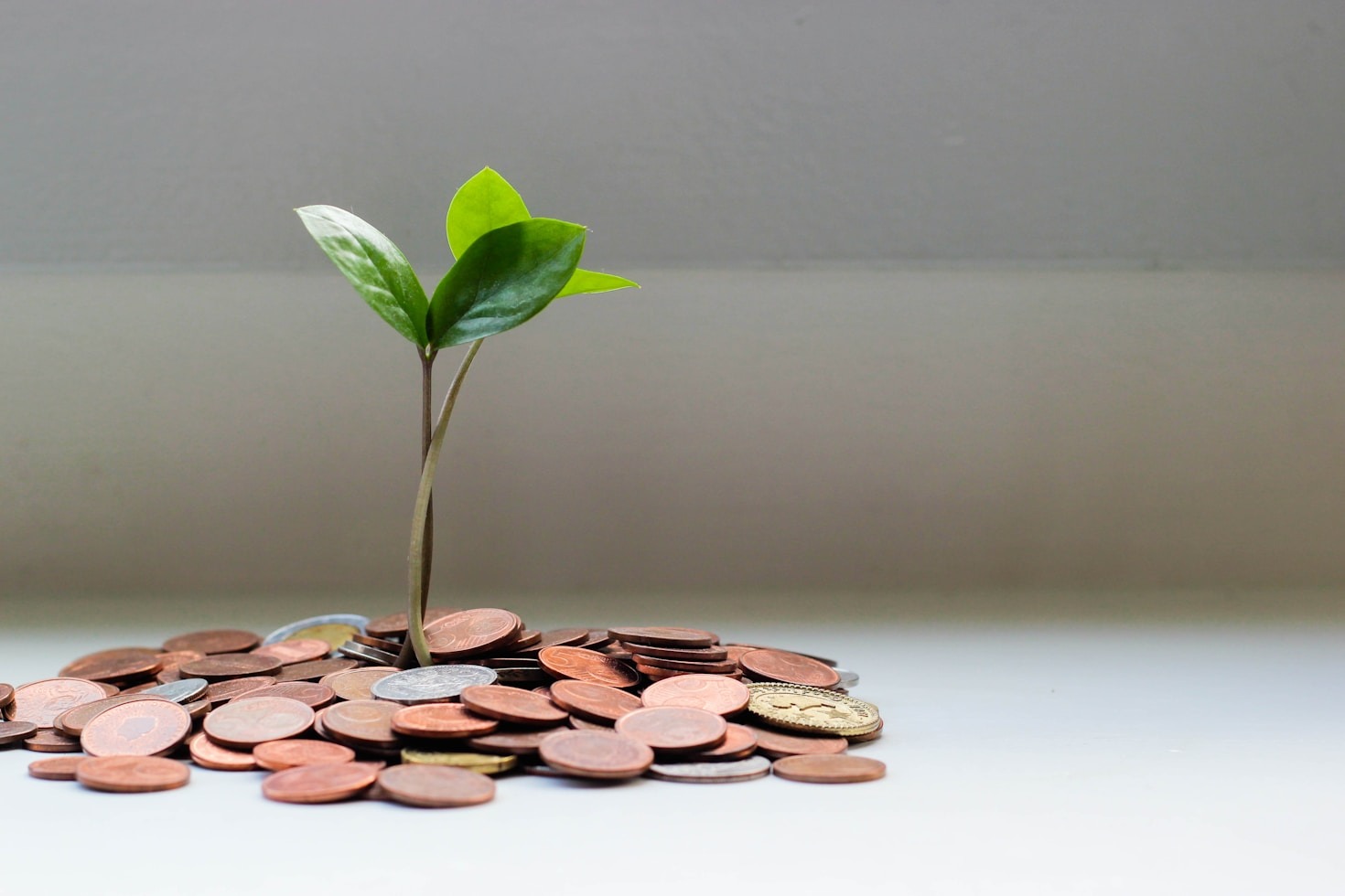 Beneficios de herramientas interactivas en finanzas